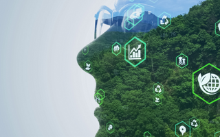 European Green Deal: Innovation Opportunities Using Thermoplastic Elastomers