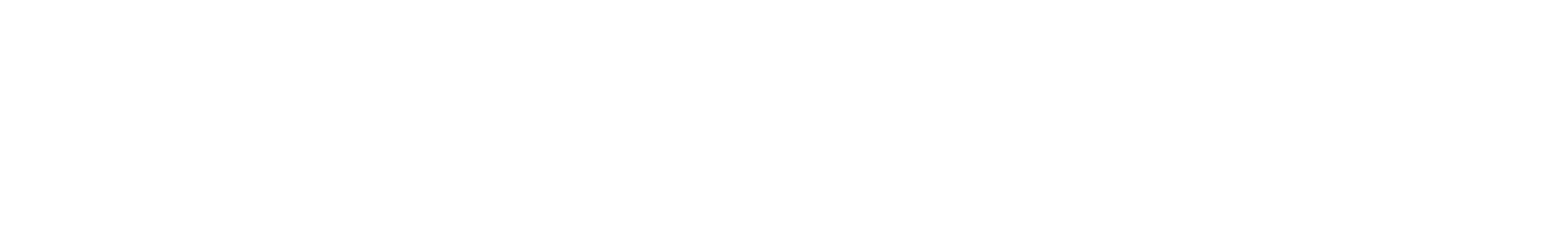 White logo Bjørn Thorsen - european distributor and solutions provider