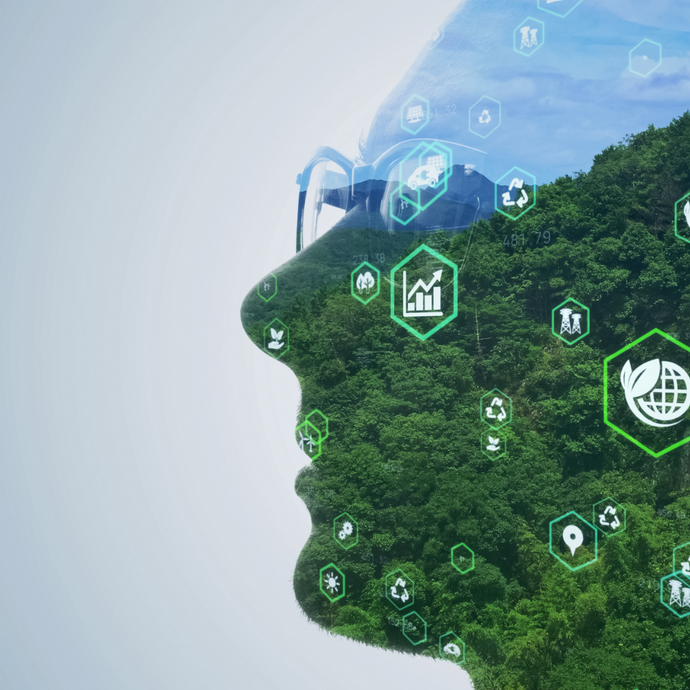 Sustainability in polymer applications.